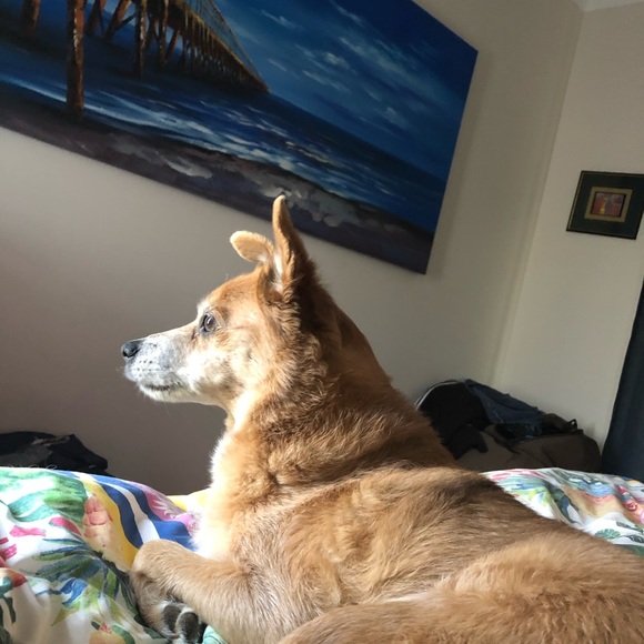 Meet your Posher, Jane - Picture 1 of 1